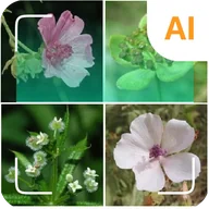 植物識別子